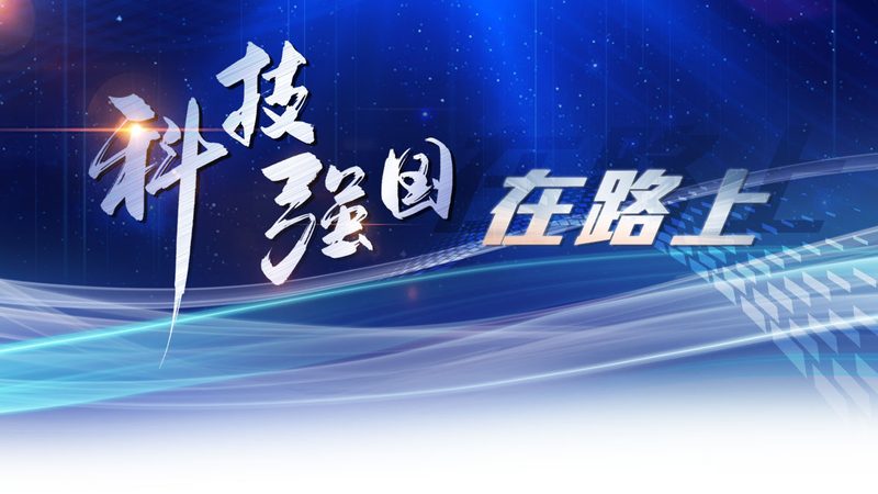移动端数据安全：敏感数据识别的五大关键步骤**